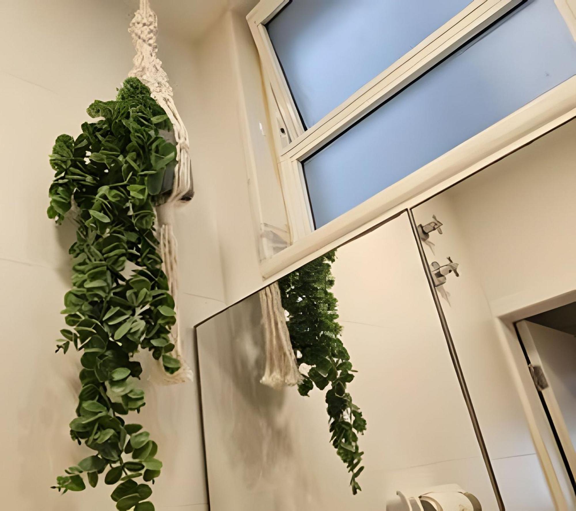 Lofts No Flamengo Villa Рио де Жанейро Екстериор снимка